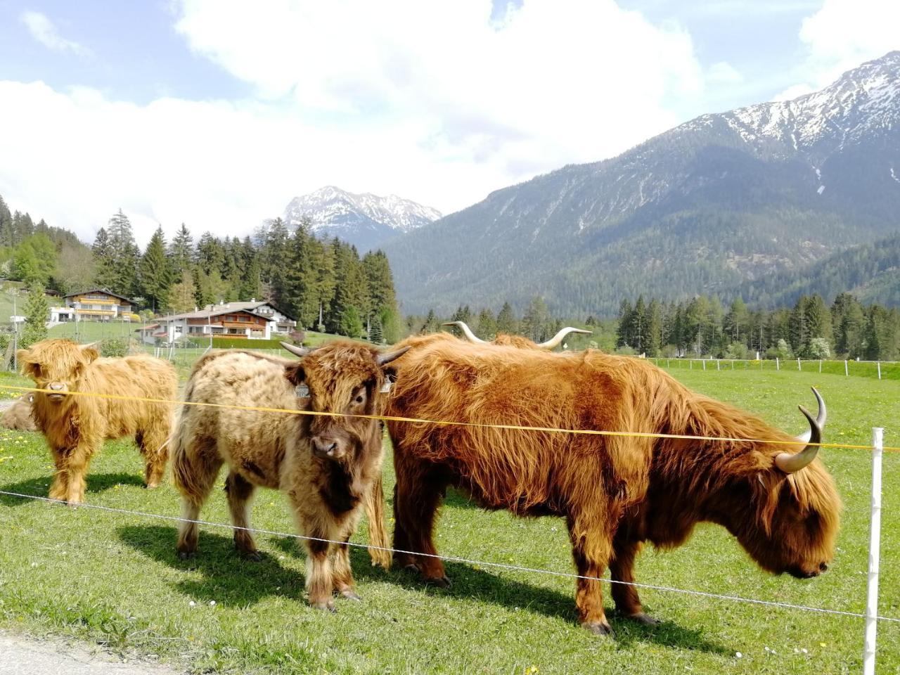 Camping Lechtal Vorderhornbach Zewnętrze zdjęcie
