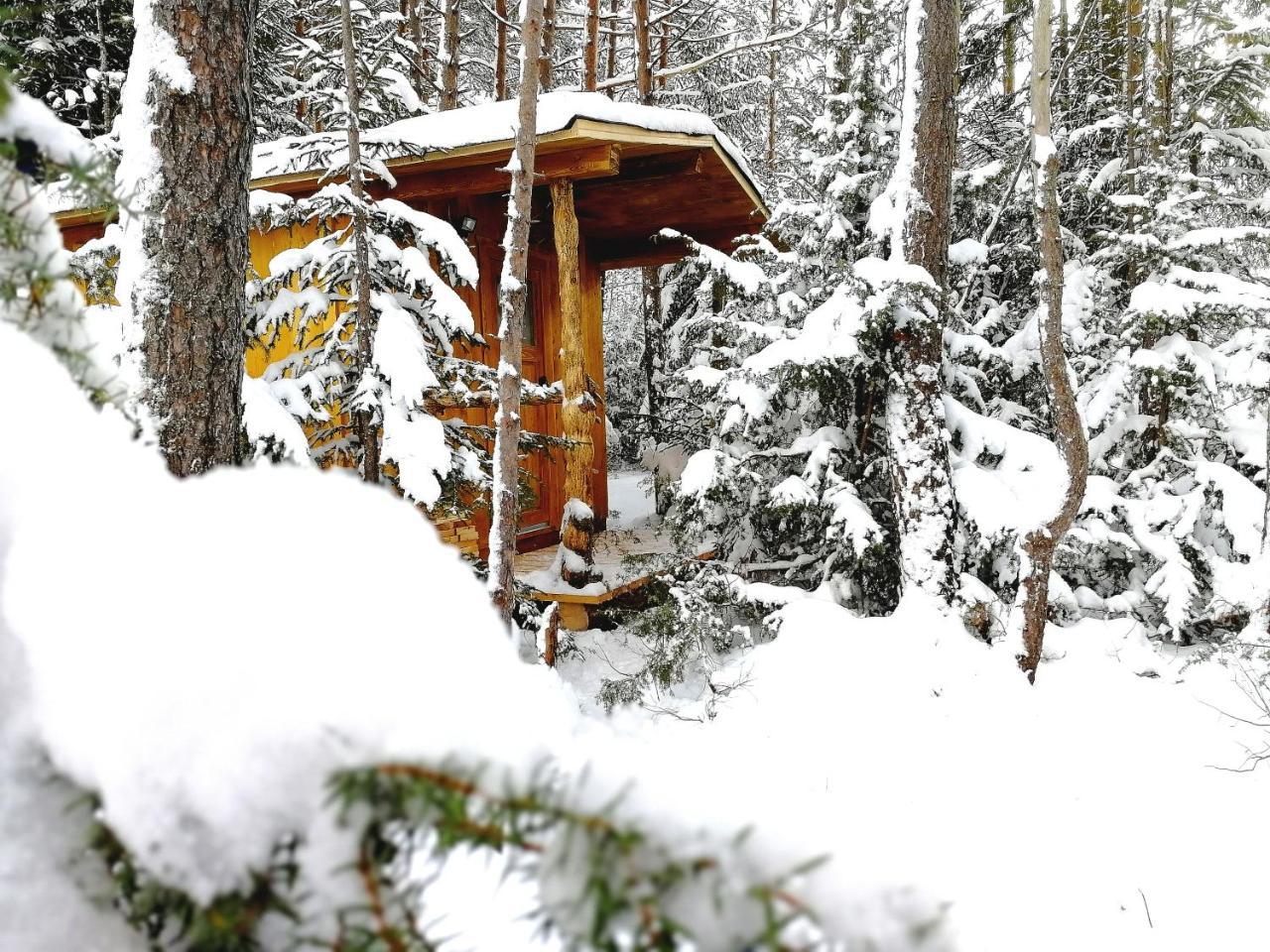Camping Lechtal Vorderhornbach Zewnętrze zdjęcie